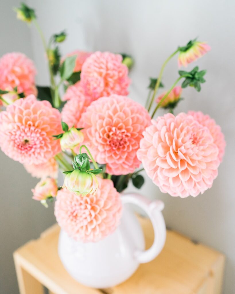 dahlia, flowers, vase-2677514.jpg